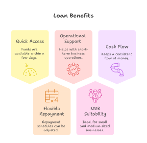 Key Features of Cash Flow Loans